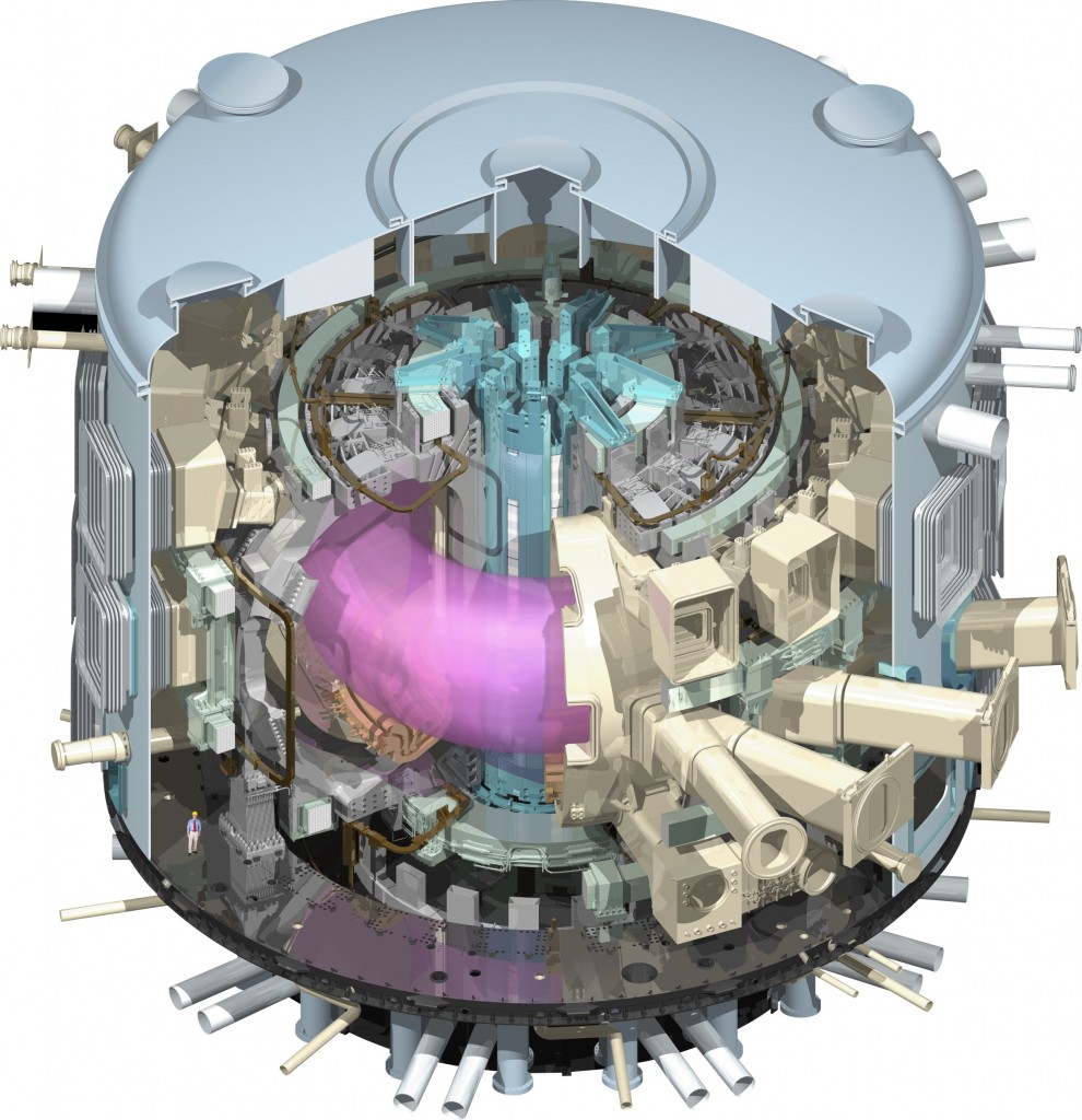 The ITER Tokamak